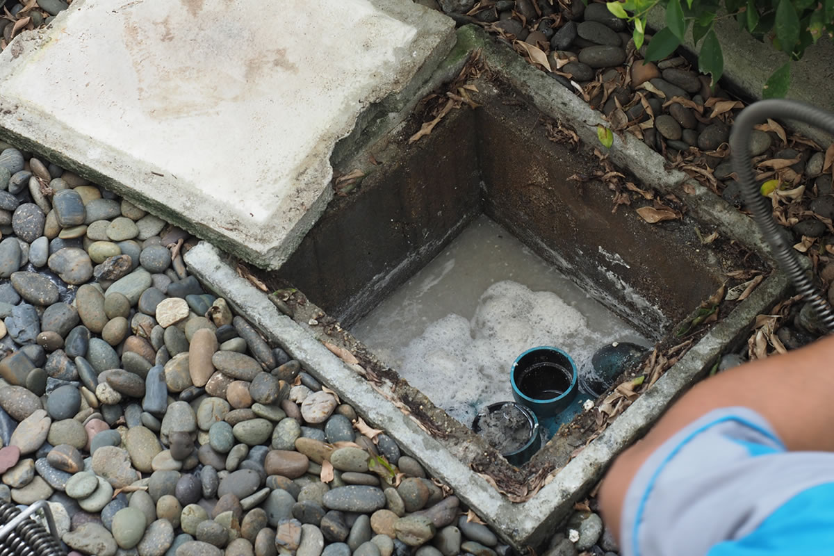 Do I Need a Grease Trap? CleanRoom